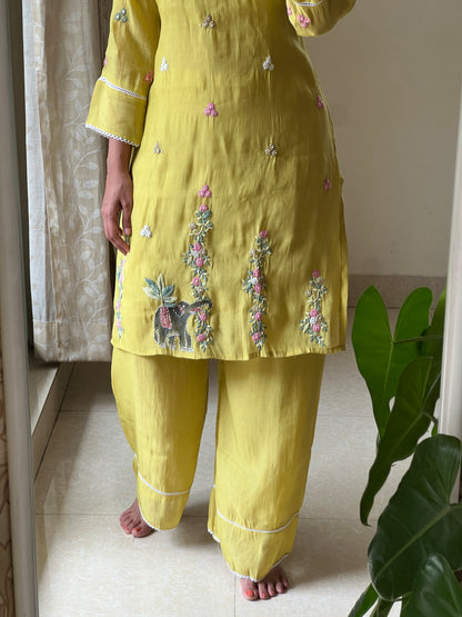 A0515 yellow mul chanderi 2 piece dress with hand paint & hand embroidery detailing